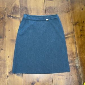 The Limited skirt